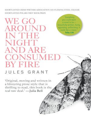 cover image of We Go Around In the Night and Are Consumed by Fire